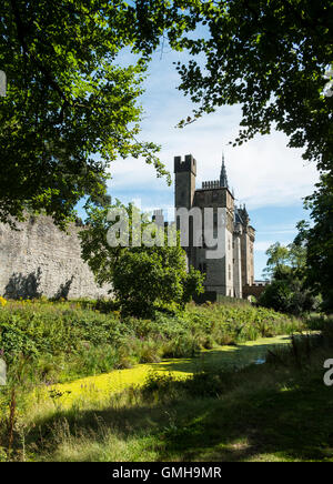 Fossato e il Castello di Cardiff numero 3620 Foto Stock