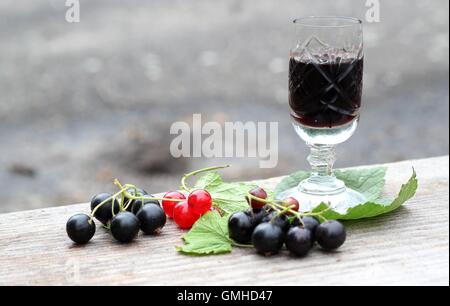 Liquore di ribes Foto Stock