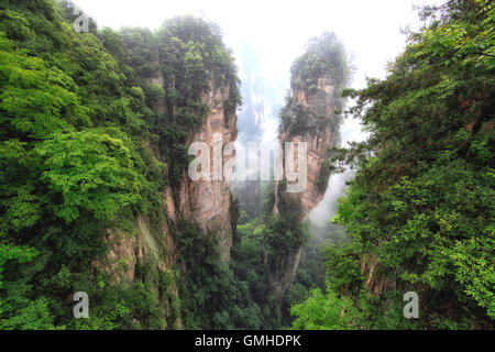 Parco nazionale Zhangjiajie Hunan, Repubblica popolare cinese Foto Stock