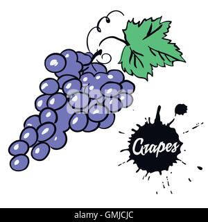Grappolo di uva nera Illustrazione Vettoriale