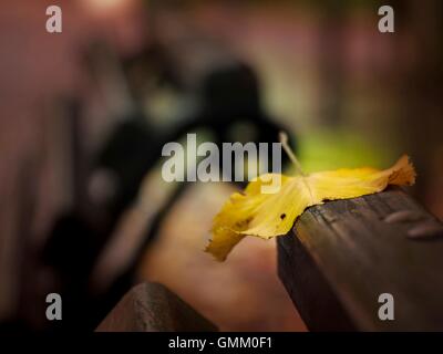 Close up di un caduto giallo autumn leaf su una panchina nel parco indietro Foto Stock