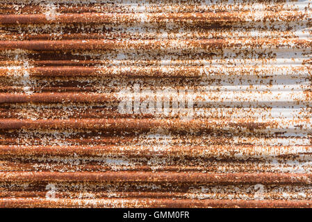 Close up di un arrugginito ferro corrugato. Rusty ferro corrugato sfondo. Foto Stock