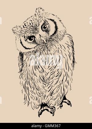 Owl disegnati a mano, in bianco e nero Illustrazione Vettoriale