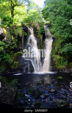 Posforth Gill cascata nella valle della desolazione, Bolton Abbey, Yorkshire Dales National Park. Regno Unito. Foto Stock