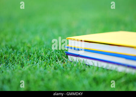 Pila di tre libri su erba verde in posizione di parcheggio Foto Stock