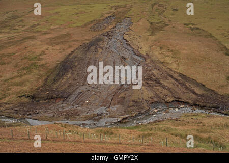 La pioggia-wash erosione ad un fellside, Coledale, Derwent Fells, Lake District, Cumbria, Inghilterra, Regno Unito. Foto Stock