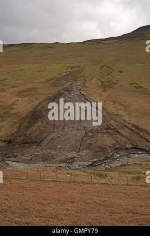 La pioggia-wash erosione ad un fellside, Coledale, Derwent Fells, Lake District, Cumbria, Inghilterra, Regno Unito. Foto Stock