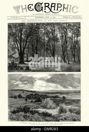 Pagina anteriore del giornale grafica che mostra immagini circa la conservazione della New Forest, 1875 Foto Stock