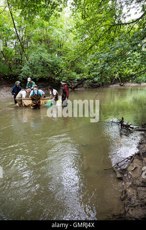 Wayne, Michigan - Volontari con gli amici del Rouge utilizzare un seine net di condurre un sondaggio di pesce sulla parte inferiore Rouge River. Foto Stock