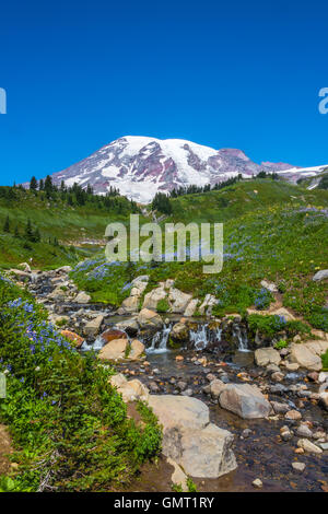 Montagna innevata, cascata e fiori selvatici. Mount Rainier e mirto cade. Verticale. Copia dello spazio. Foto Stock