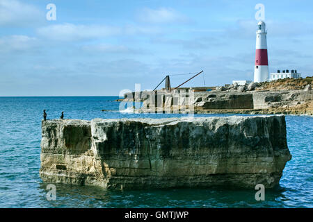 Una vista del faro di Portland Bill in Dorset, Regno Unito, parte della Jurassic Coast. Foto Stock