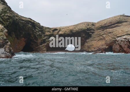 Isole Ballestas, Paracas, Perù Foto Stock