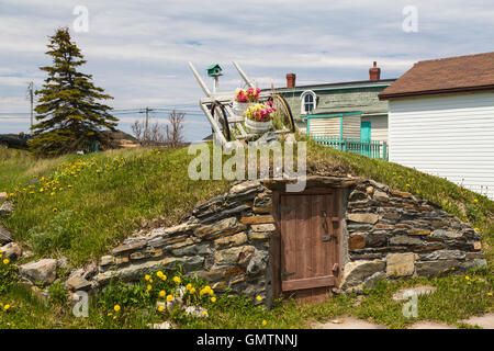 Una radice di terra cantina a Elliston, Terranova e Labrador, Canada. Foto Stock