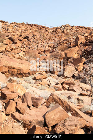 Twyfelfontein petroglifi Damaraland, Namibia Foto Stock