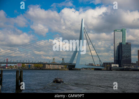 Famoso erasmusbridge o zwaan oltre il fiume Maas in rotterdam holland Foto Stock