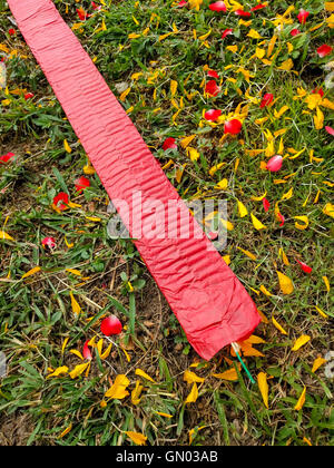 Red petardi sul prato. Foto Stock