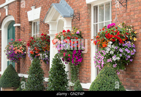 Nei cestini appesi di fiori su fronti di casa nella città di Pershore, Worcestershire, Regno Unito Foto Stock