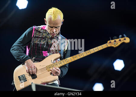 Leeds, Regno Unito. Il 28 agosto 2016. Anthony Kiedis, Flea, Chad Smith e Josh Klinghoffer dei Red Hot Chili Peppers headline il palco principale al festival di Leeds, 2016 28/08/2016 Credit: Gary Mather/Alamy Live News Foto Stock