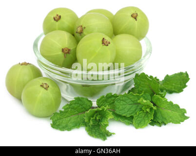 Lrd frutti con foglie di menta su sfondo bianco Foto Stock