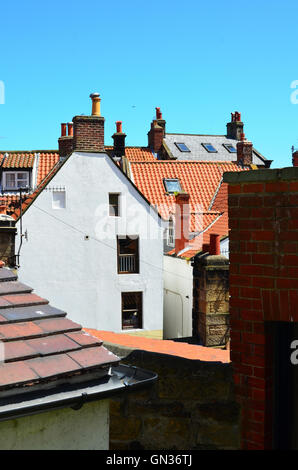 Robin cappe Bay North Yorkshire Regno Unito Foto Stock