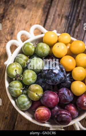 Varietà di prugne in ciotola rustico fro orchand, autunno frutta di stagione Foto Stock