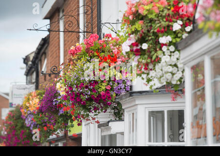 Nei cestini appesi di fiori su fronti di casa nella città di Pershore, Worcestershire, Regno Unito Foto Stock