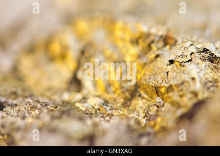 Pirite dorato, l'oro dello sciocco, è un solfuro di ferro formula chimica feso2. Macro Foto Stock