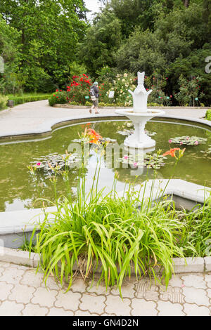 Piscina con ninfee nel Nikitsky giardino botanico Foto Stock