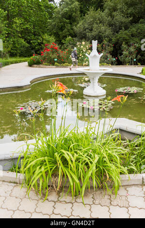 Piscina con ninfee nel Nikitsky giardino botanico Foto Stock