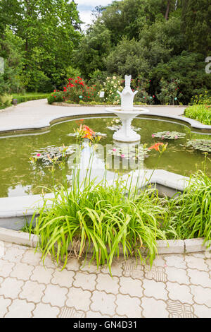 Piscina con ninfee nel Nikitsky giardino botanico Foto Stock