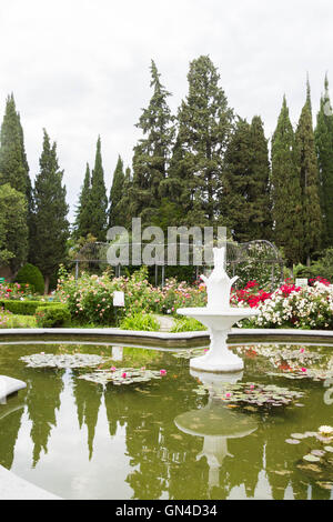 Piscina con ninfee nel Nikitsky giardino botanico Foto Stock