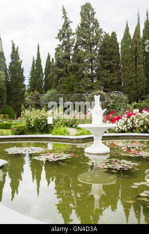 Piscina con ninfee nel Nikitsky giardino botanico Foto Stock