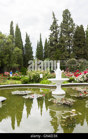 Piscina con ninfee nel Nikitsky giardino botanico Foto Stock