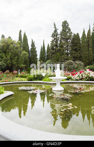 Piscina con ninfee nel Nikitsky giardino botanico Foto Stock