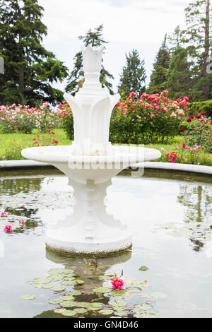 Piscina con ninfee nel Nikitsky giardino botanico Foto Stock