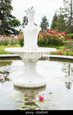 Piscina con ninfee nel Nikitsky giardino botanico Foto Stock