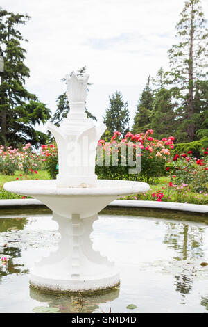 Piscina con ninfee nel Nikitsky giardino botanico Foto Stock