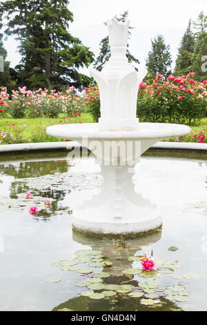 Piscina con ninfee nel Nikitsky giardino botanico Foto Stock