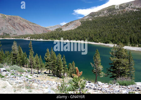 Lago Tenaya, una magnifica High Sierra lago circondato da cupole in granito nel Parco Nazionale di Yosemite Foto Stock