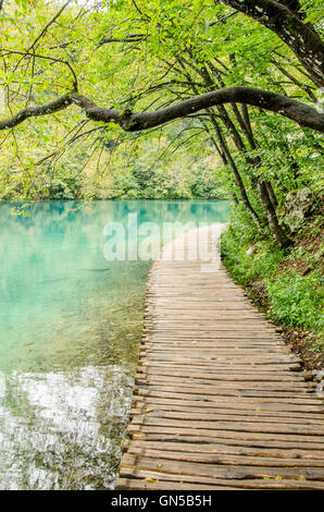 Paesaggio di plitvicka lake national park, nonché patrimonio dell'unesco, Croazia. Foto Stock