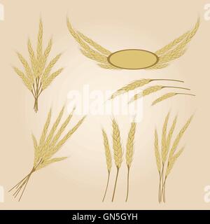 Giallo maturo della segala orecchie, agricoli illustrazione vettoriale Illustrazione Vettoriale
