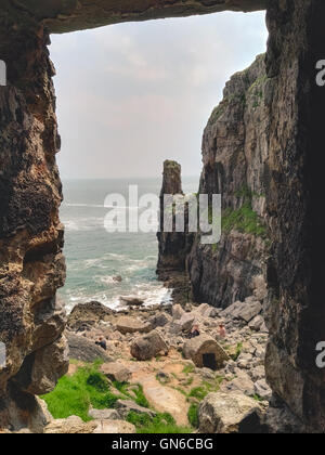 Vista della costa rocciosa a San Govan la testa Foto Stock
