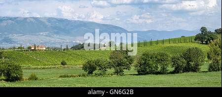 Umbria (Italia) paesaggio vicino a Bevagna Foto Stock