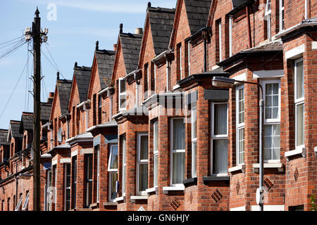 Fila di alloggiamento superiore windows in tre piani terrazzati case cittadine Vittoriane in una strada a sud di Belfast Regno Unito Foto Stock