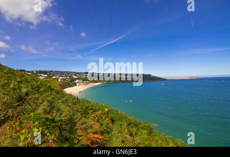 Carbis Bay, Cornwall raffigurato su un soleggiato agosto mattina con St Ives in distanza e fiori selvatici locali in primo piano. Foto Stock