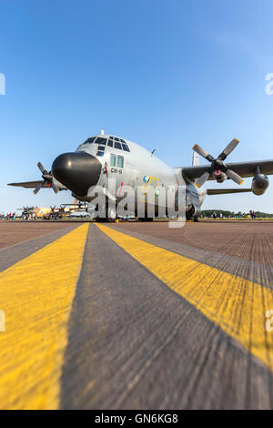 Belga componente aria Lockheed C-130H Hercules i velivoli militari da trasporto. Foto Stock