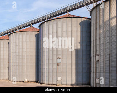 Impianto di stoccaggio cereali e produzione di biogas; silos e torri di essiccazione Foto Stock