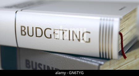 Budgeting - Business prenota il titolo. 3D Render. Foto Stock