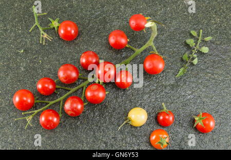 Pomodoro crudo e pepe rosso su sfondo di pietra Foto Stock