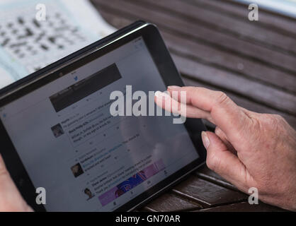 Ipad Mini utilizzata dalla giovane donna Foto Stock